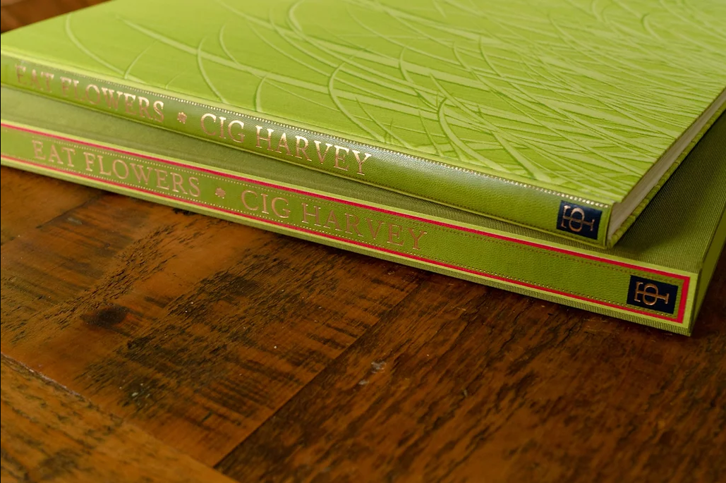 Books — Cig Harvey